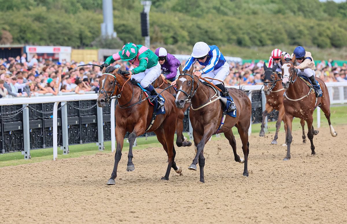 Off the mark! 🟢 Sudbury Hill 🟢 wins at the second attempt under Andrew Mullen this afternoon at Newcastle. Many congratulations to his owner, Mrs Samantha Dunn &amp; Alice Haynes 🥇

#AliceHaynesRacing