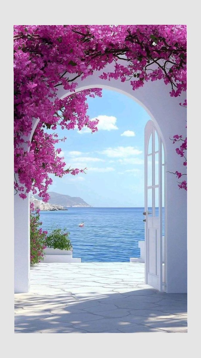 DrRani778897's tweet image. 