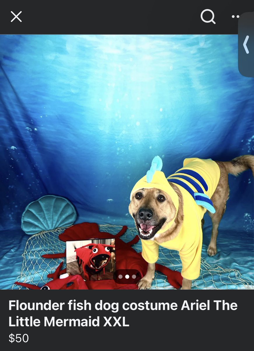 lelikesbugs's tweet image. i love marketplace