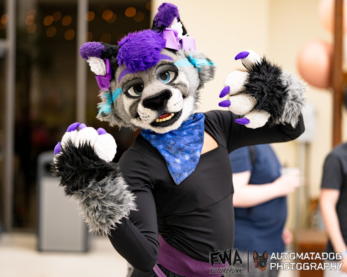 AutomataDog's tweet image. Limin at the FWA25 Mock-Tail Masquerade
🐈: @liminkitty
🪡: @mixedcandy
#Furry #Fursuit #FWA