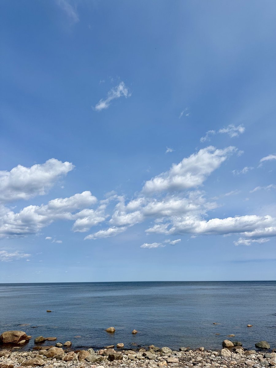 btleparadis's tweet image. Fait beau et chaud 😎☀️💙🩵