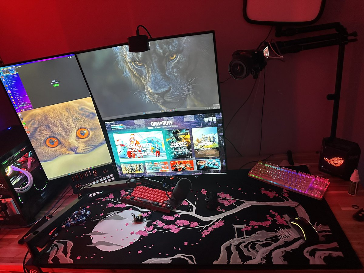 BSK Luci🇭🇳 (@znotluci) on Twitter photo 