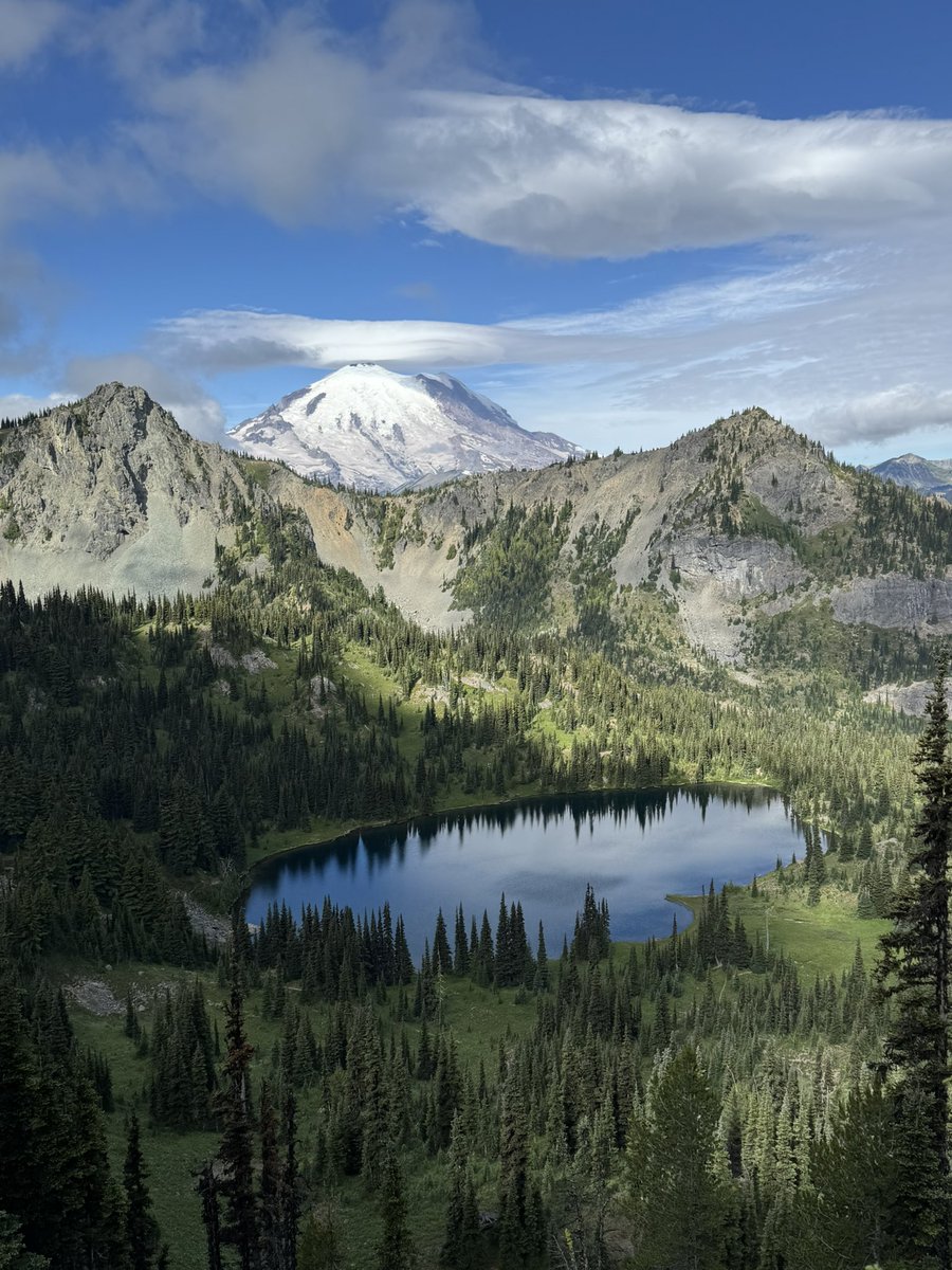 prawnzo_'s tweet image. Did one of my favorite hikes down at Mt. Rainier! In all the years I’ve done this hike, I’ve never seen it this beautiful! Blue skies and wildflowers everywhere. 😌