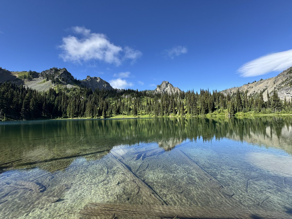 prawnzo_'s tweet image. Did one of my favorite hikes down at Mt. Rainier! In all the years I’ve done this hike, I’ve never seen it this beautiful! Blue skies and wildflowers everywhere. 😌