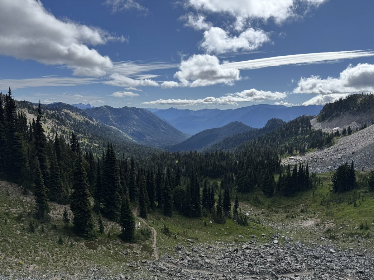 prawnzo_'s tweet image. Did one of my favorite hikes down at Mt. Rainier! In all the years I’ve done this hike, I’ve never seen it this beautiful! Blue skies and wildflowers everywhere. 😌