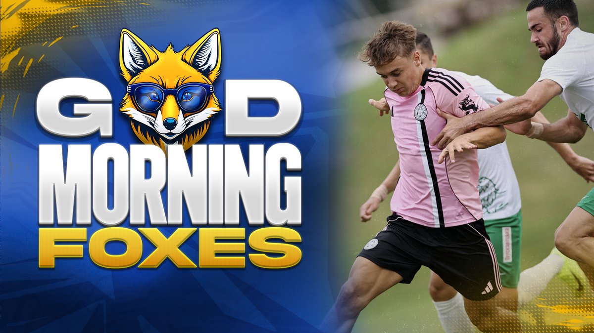 BlueTintedLCFC's tweet image. 🚨 LIVE at 09:30am!
 
A Work in Progress – Good Morning Foxes 🦊☕
Join the chat, grab a brew, and let&apos;s talk Leicester City 🔵⚪️

📺 youtube.com/watch?v=rUcuj-…

#LCFC