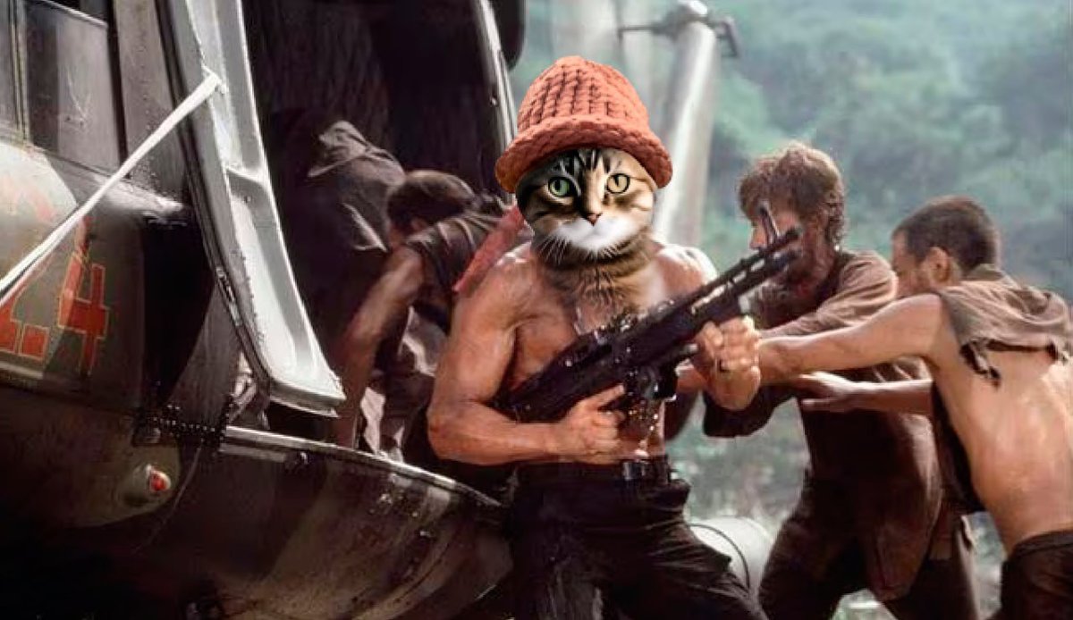 CWIFcats's tweet image. Feline commando reporting in 😸🧢 $cwif