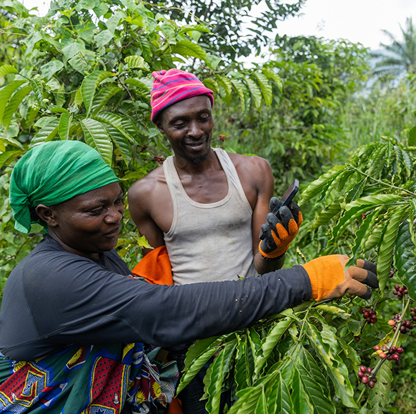 BM_Afrique's tweet image. #AfricaSFAwards | Participez aux Africa Sustainable Futures Awards avec @ftlive & le Groupe @Banquemondiale !
Les 5 catégories récompensent des initiatives innovantes qui créent plus & de meilleurs emplois en Afrique.
Postulez avant le 15/08 : wrld.bg/JjF150WtOOc (anglais)