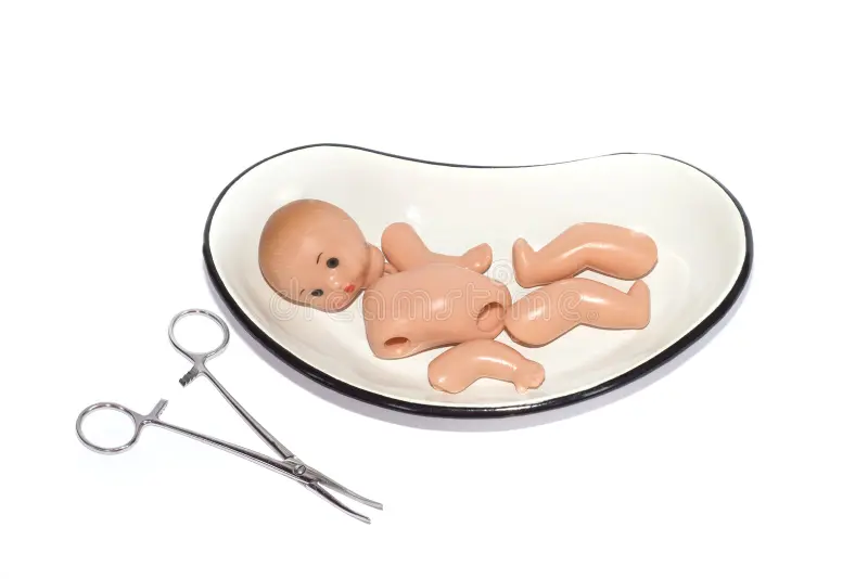 lybrjack's tweet image. ABORTO é DESUMANO e CRUEL
Meu corpo, minhas regras não se aplica a outro ser humano, cientificamente identificável como tal, indefeso e totalmente sob sua custódia. Escolher matá-lo justamente por depender de você é a forma máxima de covardia e desumanidade.