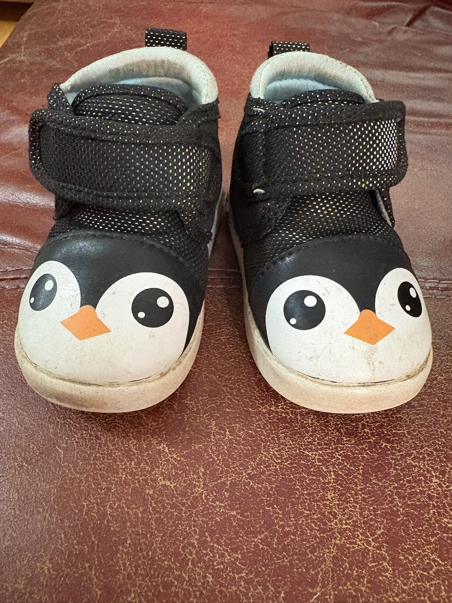 MFH got the sweetest package in the mail.

#1 granddaughter outgrew her squeaky penguin shoes so mailed them to her grandpa 🥰