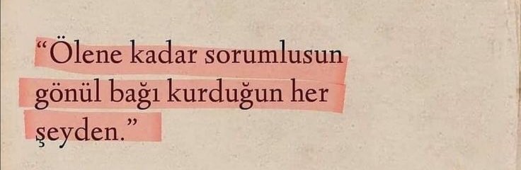 "Ölene kadar sorumlusun, gönül bağı kurduğun her şeyden."