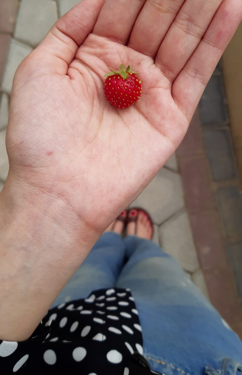 مینیجیک چیلکککک🥹🍓