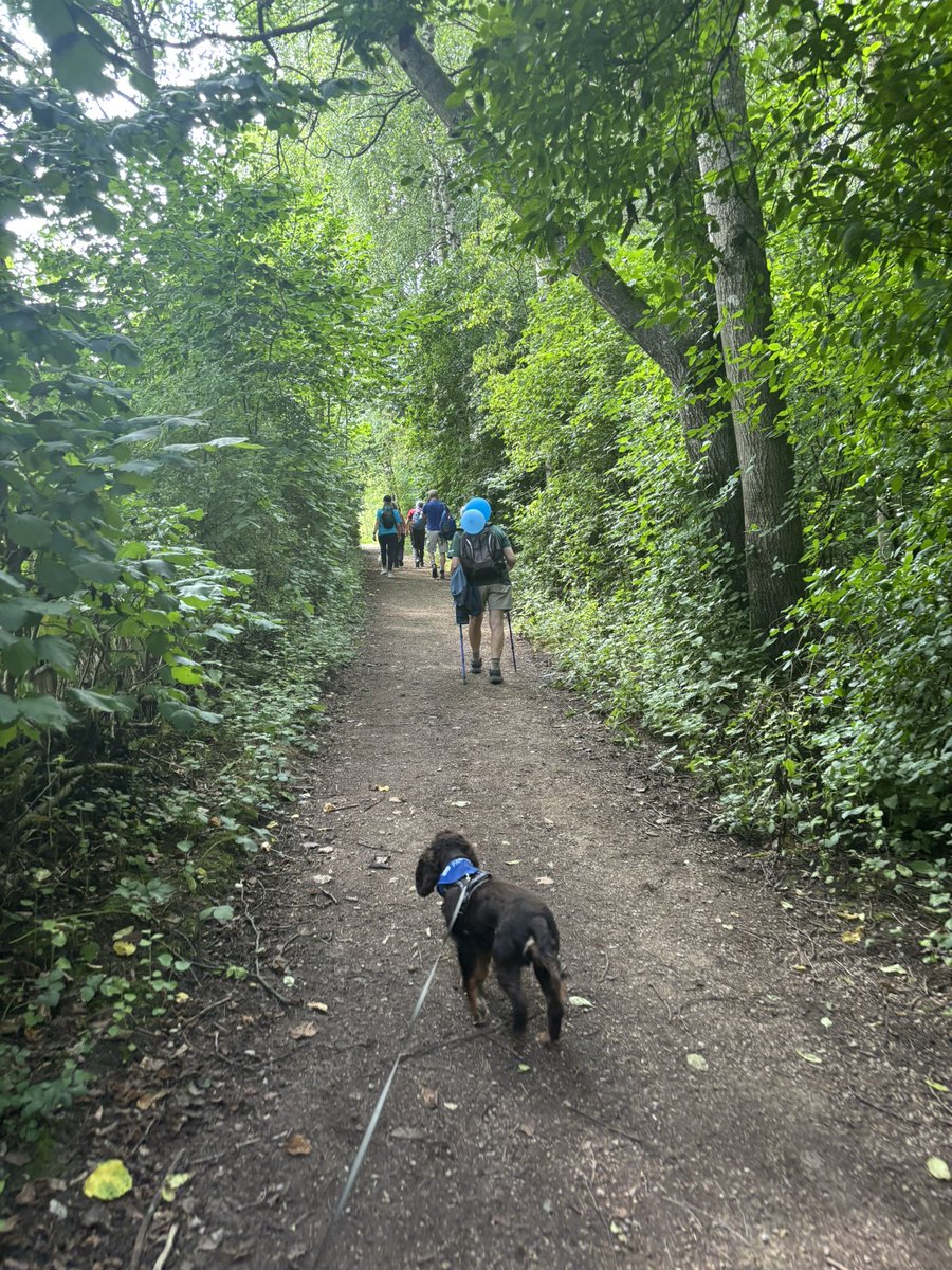 Liv Strachan tweet media