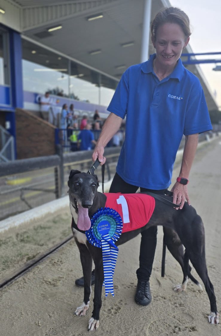 RomfordDogs's tweet image. ⭐️Winner of Race 3 - Romford Saturday 26th July 2025

🥇Trap 1 - WITCHES TRIO

Trainer🏆- Martyn Wiley 
Owner(s)🐾- Mrs K.Harms, Miss E.S.Isaac, Mrs D.M.Nye

Congratulations to Connections!💕