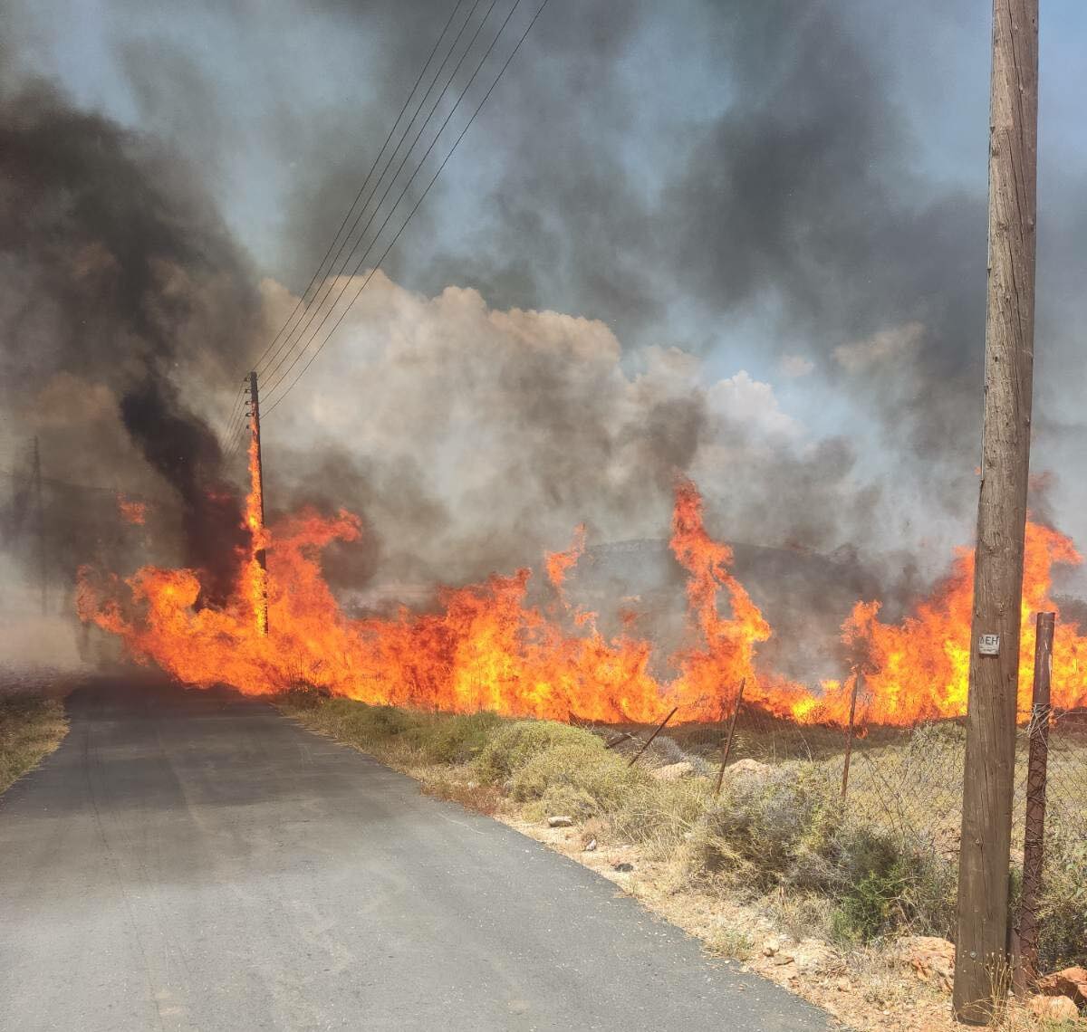 Εγώ ακούω όλη τη γη να φωνάζει...
... Ακούω τα βουνά γύρα μου, τους ποταμούς, τα δέντρα, τα ζώα να μου φωνάζουν...
"Δώσε μου πρόσωπο να μη χαθώ, κοίταξέ με να ζήσω!"

Νίκος Καζαντζάκης
