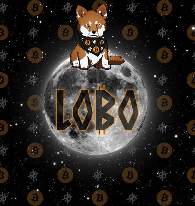 ConfuciousNFT's tweet image. Heard $LOBO is the Bitcoin memecoin with the most active community
Let’s see how true that is
Leave a comment. Tell newbies to Portal to Bitcoin assets
Let’s go 👇🏽