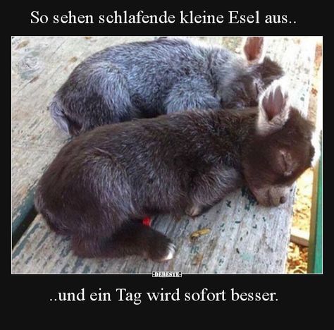 _simitec's tweet image. 🥰🥰🥰