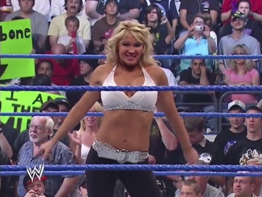 SimplyMelinaFan's tweet image. I feel like Jillian Hall might've been taken seriously if she remained on SmackDown and never be drafted to RAW.