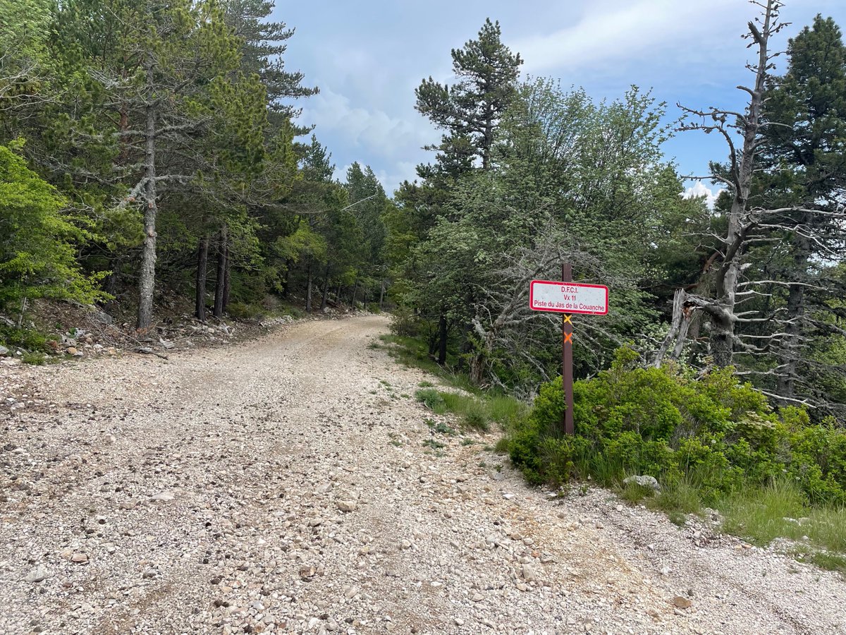 NolfJan's tweet image. Met vertraging op het peloton genoten van de mooie repo van Ann De Craemer over de #MontVentoux en haar eigenste overwinning : knack.be/sport/wielrenn… via @Knack
Zelf heb ik daarvoor tot m'n 71ste gewacht, maar dan ook 2 x off road gedaan met VTT. Inderdaad mythische berg 🙏