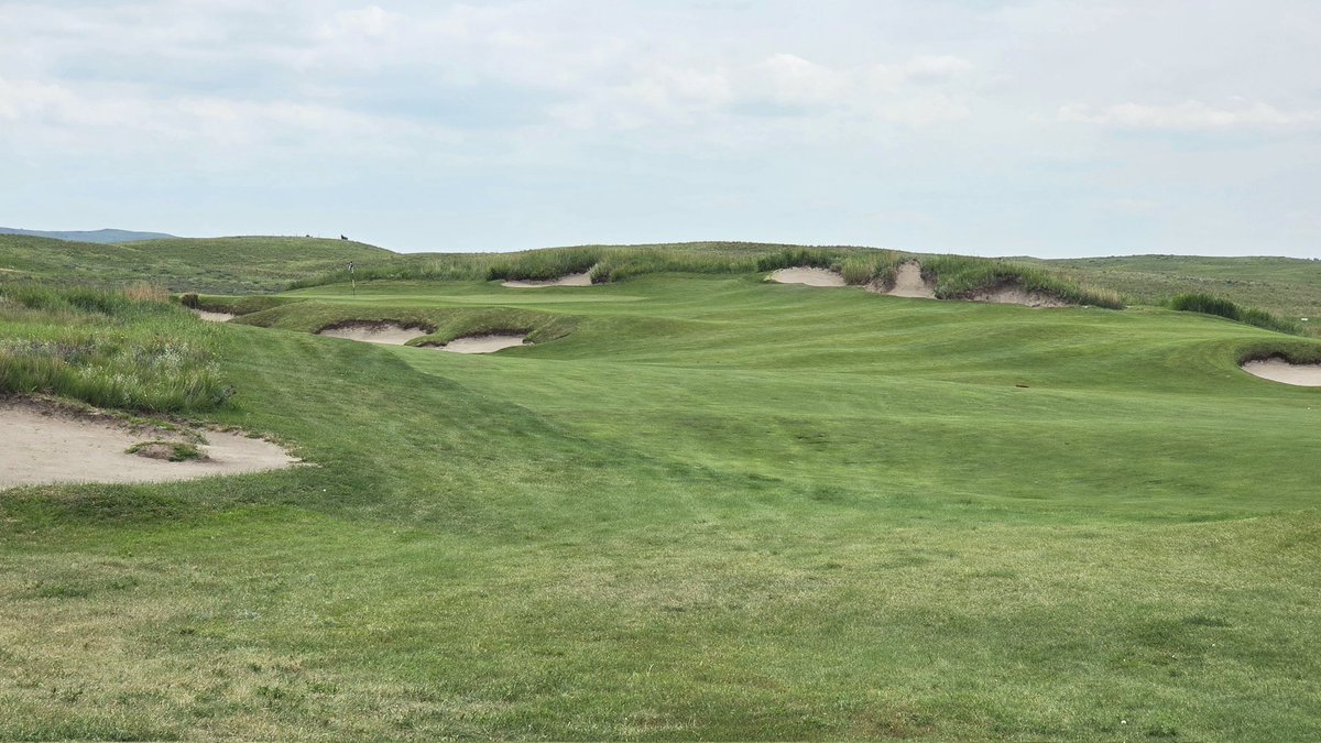 OrsonRosas's tweet image. The Prairie Club, Pines Course, Valentine, NE (Graham Marsh)
While it starts as "Dunes Lite", it gradually transitions into a routing through the pine trees that line the east side of the Snake River Canyon.
A lovely second test that requires maximum focus to the end.