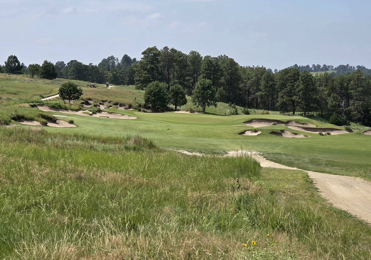 OrsonRosas's tweet image. The Prairie Club, Pines Course, Valentine, NE (Graham Marsh)
While it starts as "Dunes Lite", it gradually transitions into a routing through the pine trees that line the east side of the Snake River Canyon.
A lovely second test that requires maximum focus to the end.