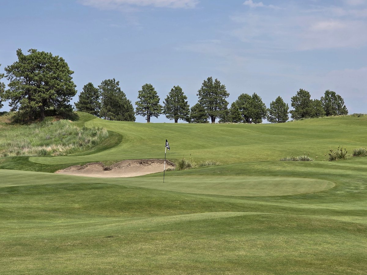 OrsonRosas's tweet image. The Prairie Club, Pines Course, Valentine, NE (Graham Marsh)
While it starts as "Dunes Lite", it gradually transitions into a routing through the pine trees that line the east side of the Snake River Canyon.
A lovely second test that requires maximum focus to the end.