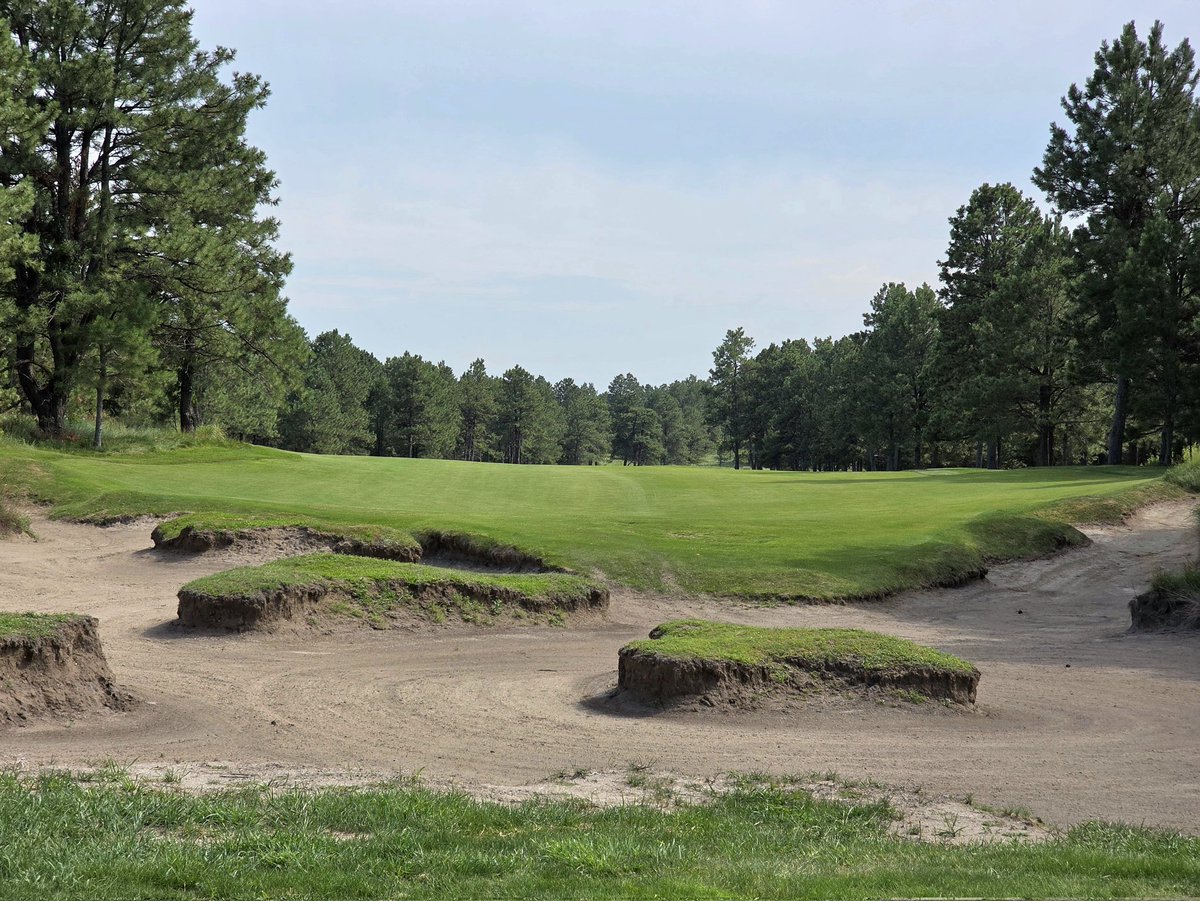 OrsonRosas's tweet image. The Prairie Club, Pines Course, Valentine, NE (Graham Marsh)
While it starts as "Dunes Lite", it gradually transitions into a routing through the pine trees that line the east side of the Snake River Canyon.
A lovely second test that requires maximum focus to the end.
