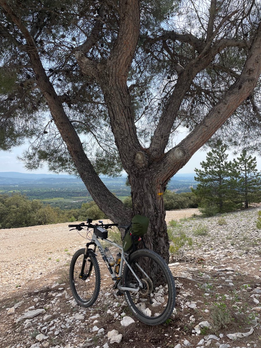 NolfJan's tweet image. Met vertraging op het peloton genoten van de mooie repo van Ann De Craemer over de #MontVentoux en haar eigenste overwinning : knack.be/sport/wielrenn… via @Knack
Zelf heb ik daarvoor tot m'n 71ste gewacht, maar dan ook 2 x off road gedaan met VTT. Inderdaad mythische berg 🙏