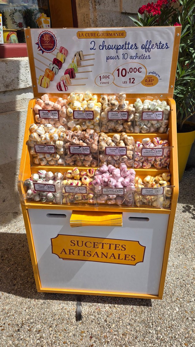 HullTeslaModel3's tweet image. Sharon bought a dozen succettes for 10€ in Amboise 😁