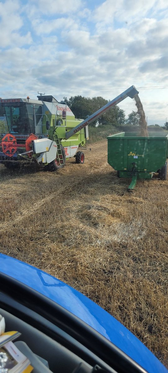 Mathew Roberts tweet media