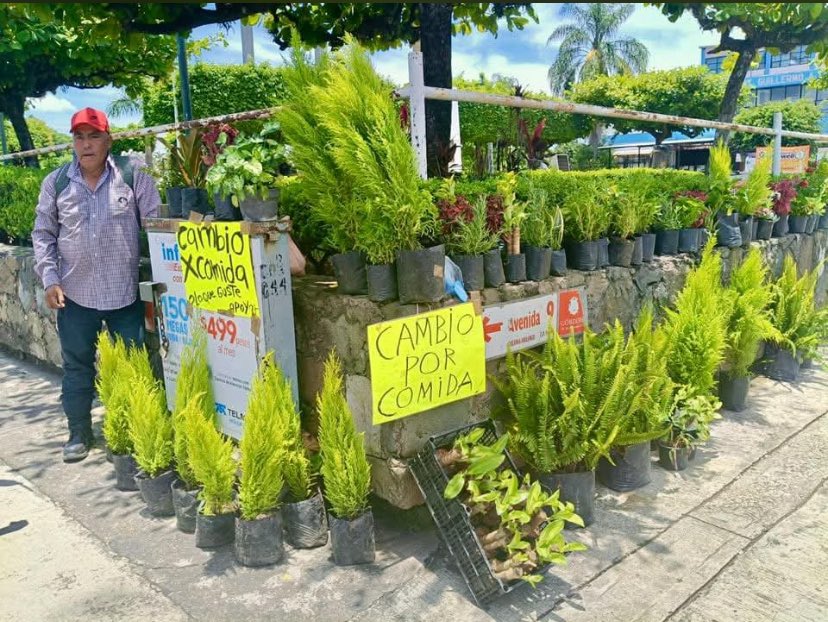 Ramón Alberto Reyes (@ramonreyesmx) on Twitter photo VERACRUZ, EN SU PEOR MOMENTO 😔
Así, literal. En Coscomatepec, floricultores no venden: viajaron a Córdoba a cambiar sus plantas por comida. Entre los precios de los alimentos y el cobro de piso de la delincuencia, los están ahorcando.
Presidenta <a href="/Claudiashein/">Claudia Sheinbaum Pardo</a>: no hay bienestar VERACRUZ, EN SU PEOR MOMENTO 😔
Así, literal. En Coscomatepec, floricultores no venden: viajaron a Córdoba a cambiar sus plantas por comida. Entre los precios de los alimentos y el cobro de piso de la delincuencia, los están ahorcando.
Presidenta <a href="/Claudiashein/">Claudia Sheinbaum Pardo</a>: no hay bienestar