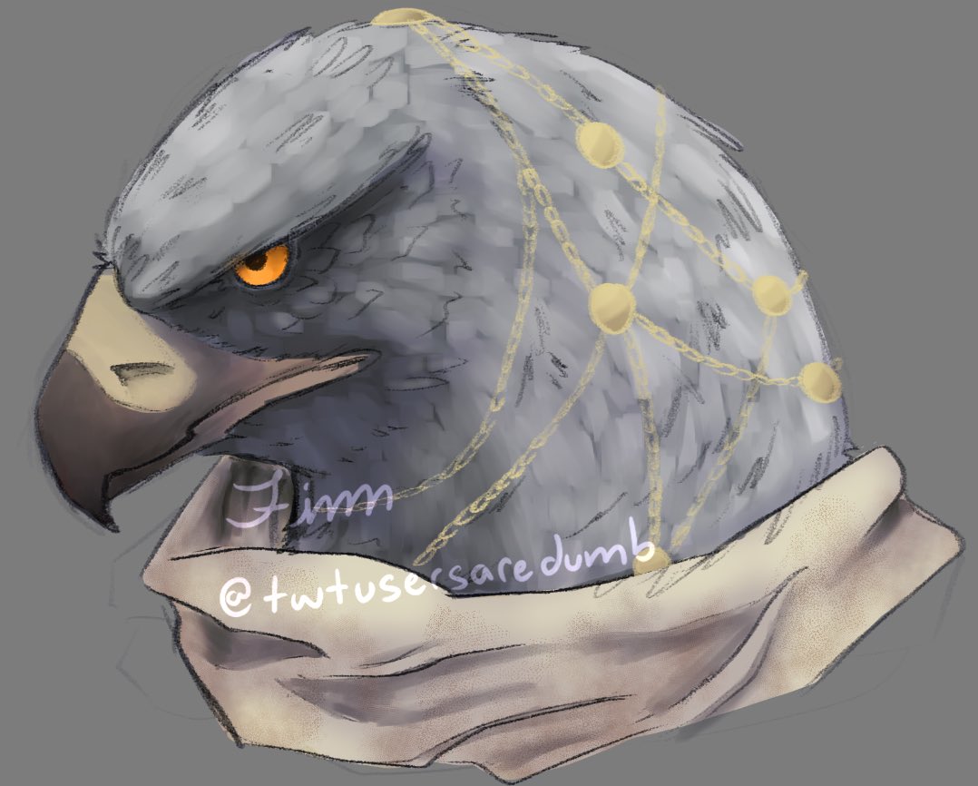 twtusersaredumb's tweet image. whos the biggest bird?

#ELDENRING #NIGHTREIGN