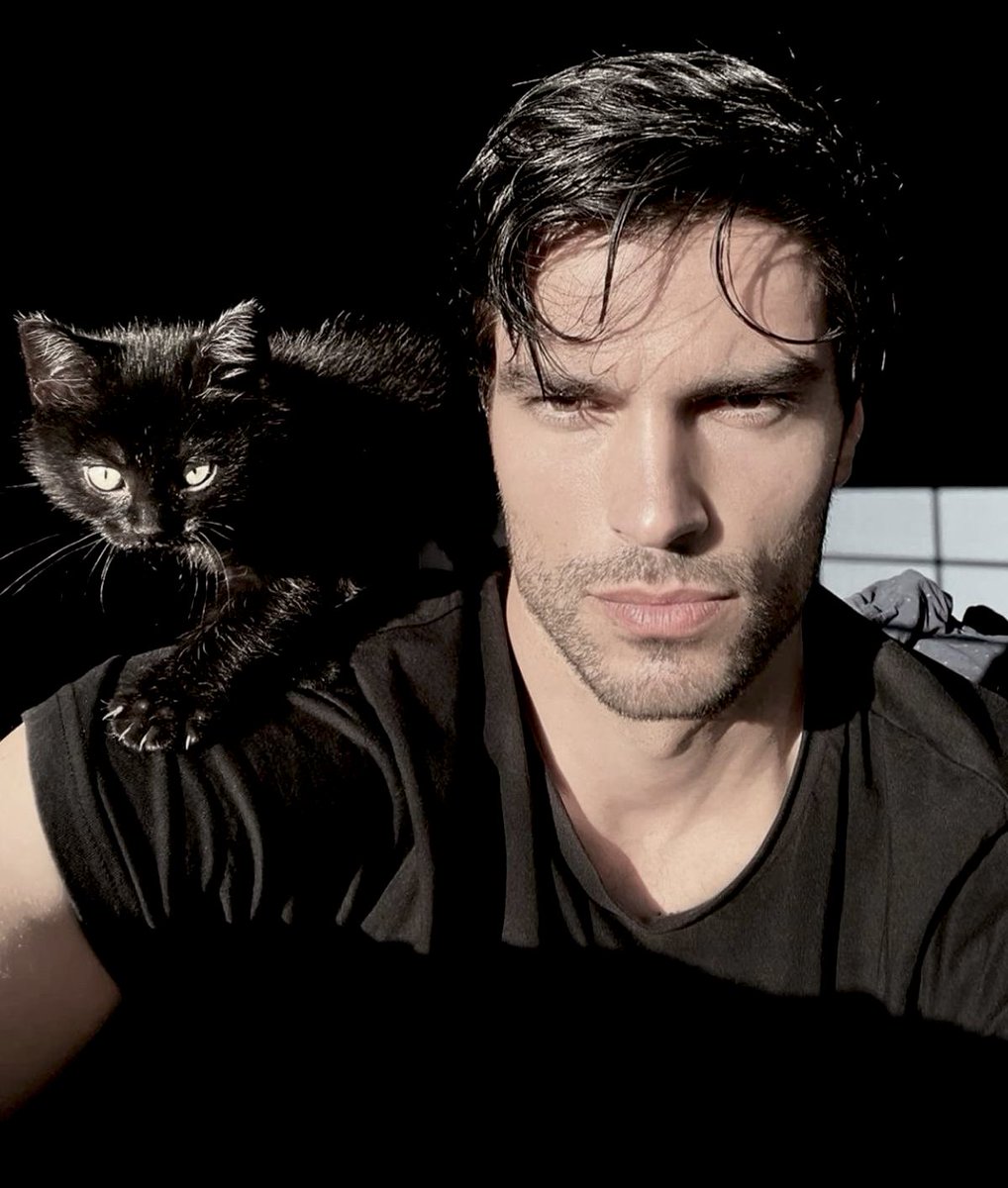 DanteAmarasBot's tweet image. He had dropped that cat outside her apartment immediately after her exile, back when he’d thought he could let her go and stay away from her.
He hadn’t wanted her to be completely alone and somehow, knowing she had a companion he gave her, made him feel closer to her.
