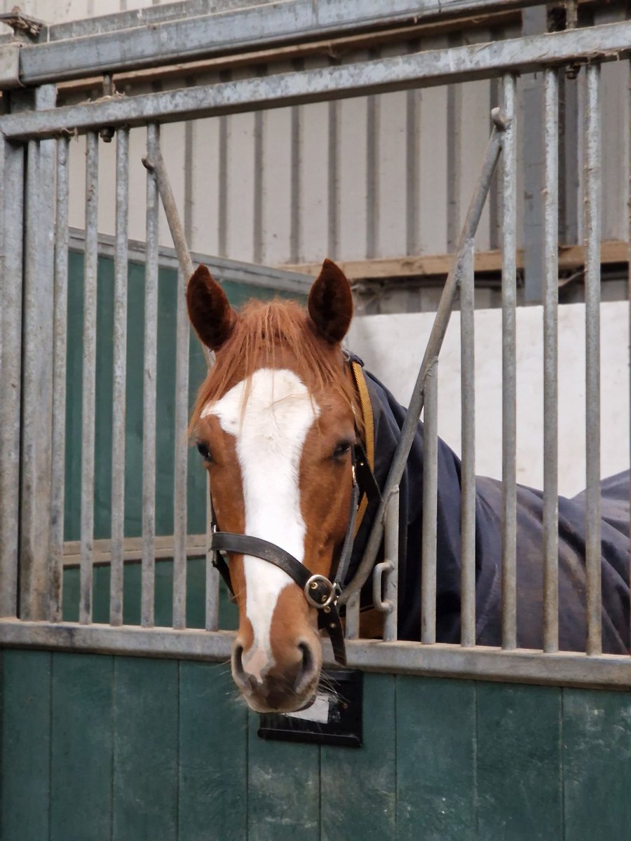 Dolmen Bloodstock (@dolmenbldstock) on Twitter photo Lost Signal by <a href="/nationalstud/">IrishNationalStud</a> ffsโ๏ธ Lucky Vega โ๏ธwins at Salisbury. Well done to connections <a href="/rhannonracing/">Richard Hannon</a> & <a href="/YulongInvest/">Yulong Investments</a> on the improving colt . Sourced and sold <a href="/Tattersalls_ie/">Tattersalls Ireland</a> <a href="/BrzUps/">Breeze Up Sales</a> Lost Signal by <a href="/nationalstud/">IrishNationalStud</a> ffsโ๏ธ Lucky Vega โ๏ธwins at Salisbury. Well done to connections <a href="/rhannonracing/">Richard Hannon</a> & <a href="/YulongInvest/">Yulong Investments</a> on the improving colt . Sourced and sold <a href="/Tattersalls_ie/">Tattersalls Ireland</a> <a href="/BrzUps/">Breeze Up Sales</a>
