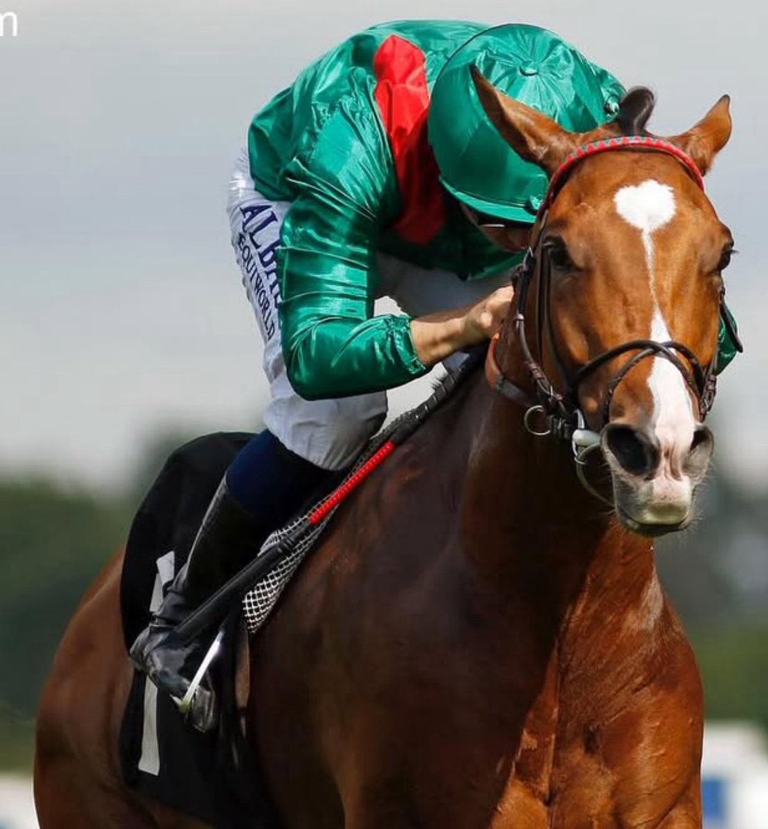 Stakes Winners 🏆 (@stakeswinners) on Twitter photo 🏆 CALANDAGAN 🇮🇪
(Mickael Barzalona - Francis Henri Graffard) KING GEORGE VI & QUEEN ELIZABETH STAKES G1 (£1,500,000) Ascot <a href="/Ascot/">Ascot Racecourse</a> <a href="/mickaelbarzalon/">mickael barzalona</a> <a href="/GraffardRacing/">𝐅𝐫𝐚𝐧𝐜𝐢𝐬-𝐇𝐞𝐧𝐫𝐢 𝐆𝐫𝐚𝐟𝐟𝐚𝐫𝐝</a> <a href="/AgaKhanStuds/">Aga Khan Studs</a> <a href="/IrishEBF_/">Irish Stallion Farms</a> <a href="/IREthoroughbred/">ITM</a> <a href="/BreedersCup/">Breeders' Cup</a> <a href="/worldsbesthorse/">IFHA's Longines World's Best Racehorse Rankings</a> <a href="/GBRacing/">Great British Racing</a>
📷 <a href="/Ascot/">Ascot Racecourse</a> 🏆 CALANDAGAN 🇮🇪
(Mickael Barzalona - Francis Henri Graffard) KING GEORGE VI & QUEEN ELIZABETH STAKES G1 (£1,500,000) Ascot <a href="/Ascot/">Ascot Racecourse</a> <a href="/mickaelbarzalon/">mickael barzalona</a> <a href="/GraffardRacing/">𝐅𝐫𝐚𝐧𝐜𝐢𝐬-𝐇𝐞𝐧𝐫𝐢 𝐆𝐫𝐚𝐟𝐟𝐚𝐫𝐝</a> <a href="/AgaKhanStuds/">Aga Khan Studs</a> <a href="/IrishEBF_/">Irish Stallion Farms</a> <a href="/IREthoroughbred/">ITM</a> <a href="/BreedersCup/">Breeders' Cup</a> <a href="/worldsbesthorse/">IFHA's Longines World's Best Racehorse Rankings</a> <a href="/GBRacing/">Great British Racing</a>
📷 <a href="/Ascot/">Ascot Racecourse</a>