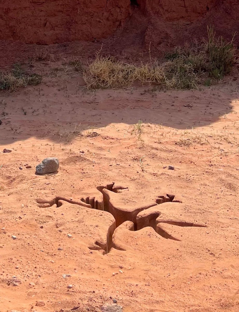 JaxyBoyJax's tweet image. I found a weird thing in the ground