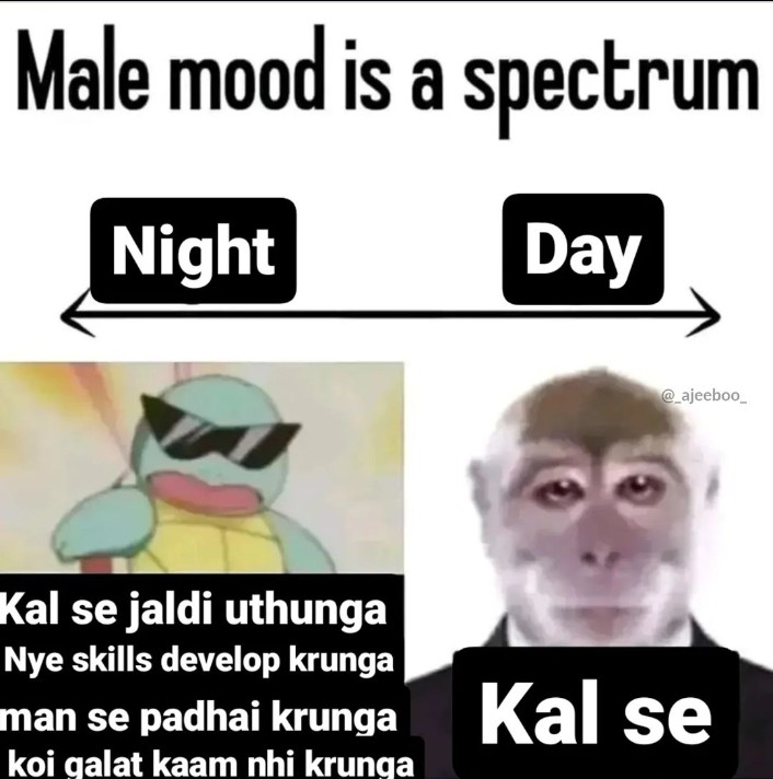 pyschonoice's tweet image. pakka!