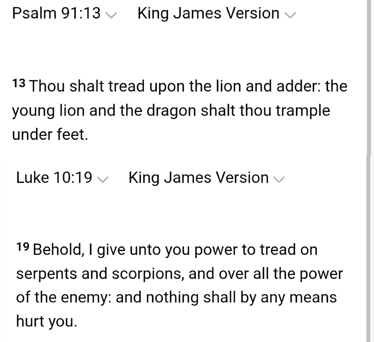 GodsNode's tweet image. Tread on Serpents.