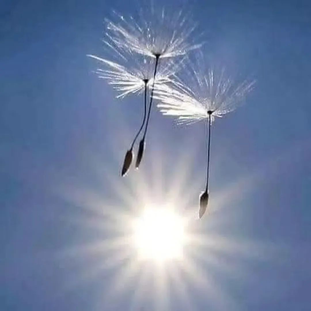¿Te das cuenta de que no se va al Cielo si no es de dos en dos?

Tengan excelente día y #aobrarmilagrosquenadanoscuesta !! 🙆🏻‍♀️🙆🏻‍♀️

#ucdmmexico #estudiaucdmaqui #gabysánchez #ucdmcongaby #ucdm #uncursodemilagros #ucdmmx