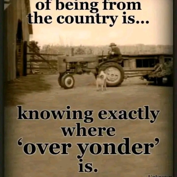 Brett Oliver (@brettolive79353) on Twitter photo 