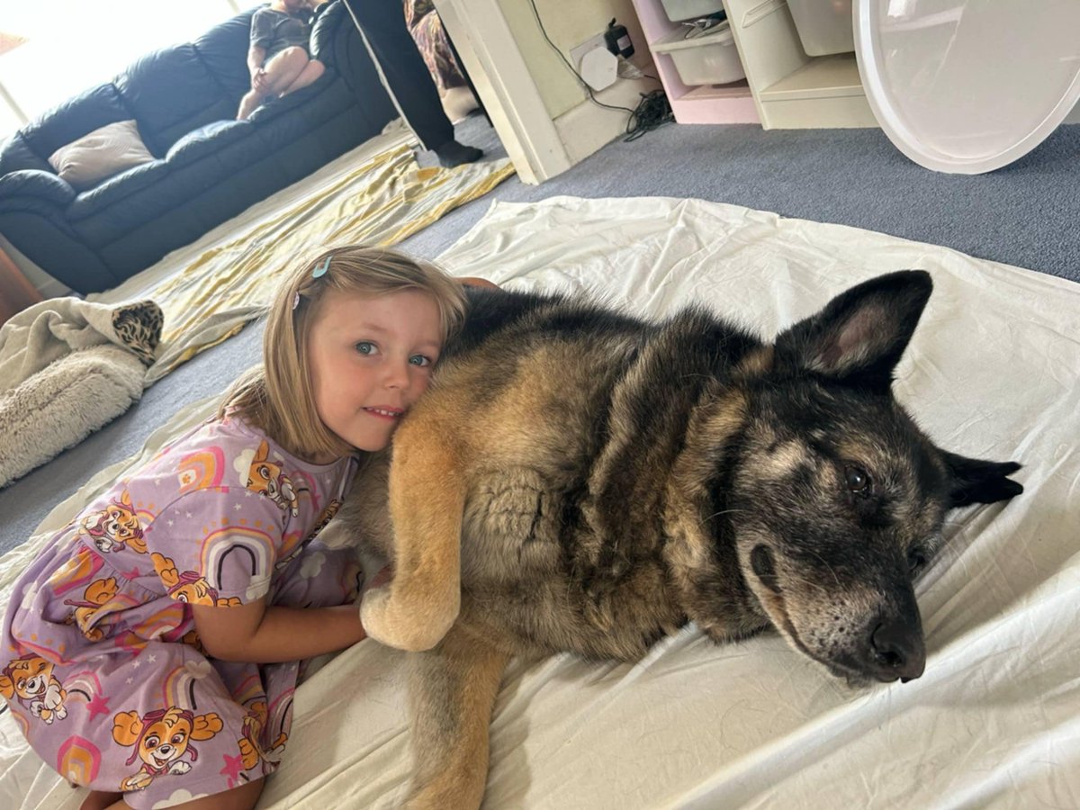 GillyMeeky's tweet image. Benson with his little human. He's been adopted quite a while now and doing so well. His walks are slowing down but he is still going strong. He does love a cuddle ❤️ (and hoping for a crumb or two)