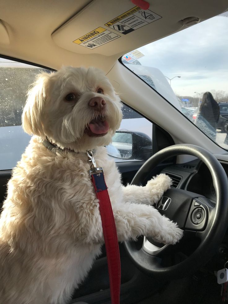 Brett Oliver (@brettolive79353) on Twitter photo 