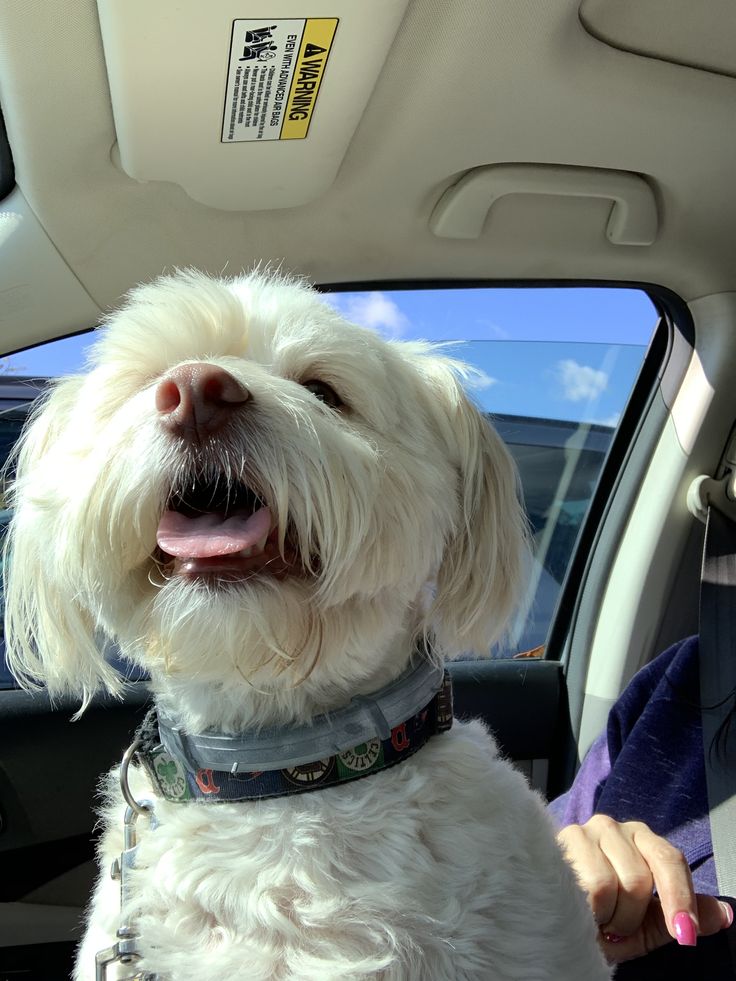 Brett Oliver (@brettolive79353) on Twitter photo 