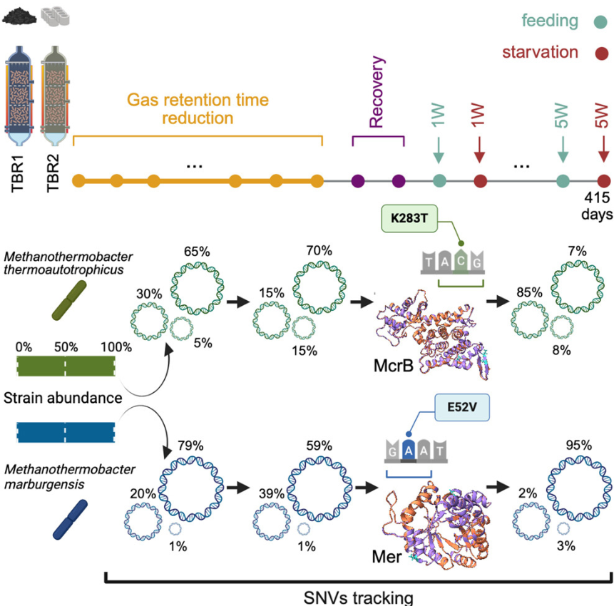 stefano campanaro tweet media