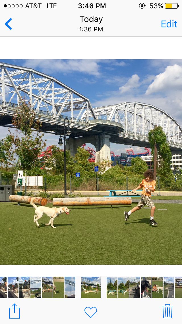 Brett Oliver (@brettolive79353) on Twitter photo 