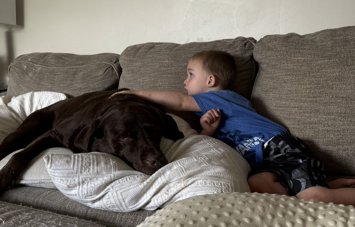 MRittCGS's tweet image. Toddlers Best Friend