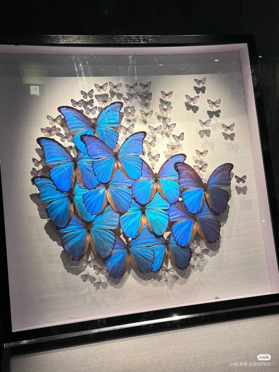 blue dream (@bluedreamvibes) on Twitter photo 