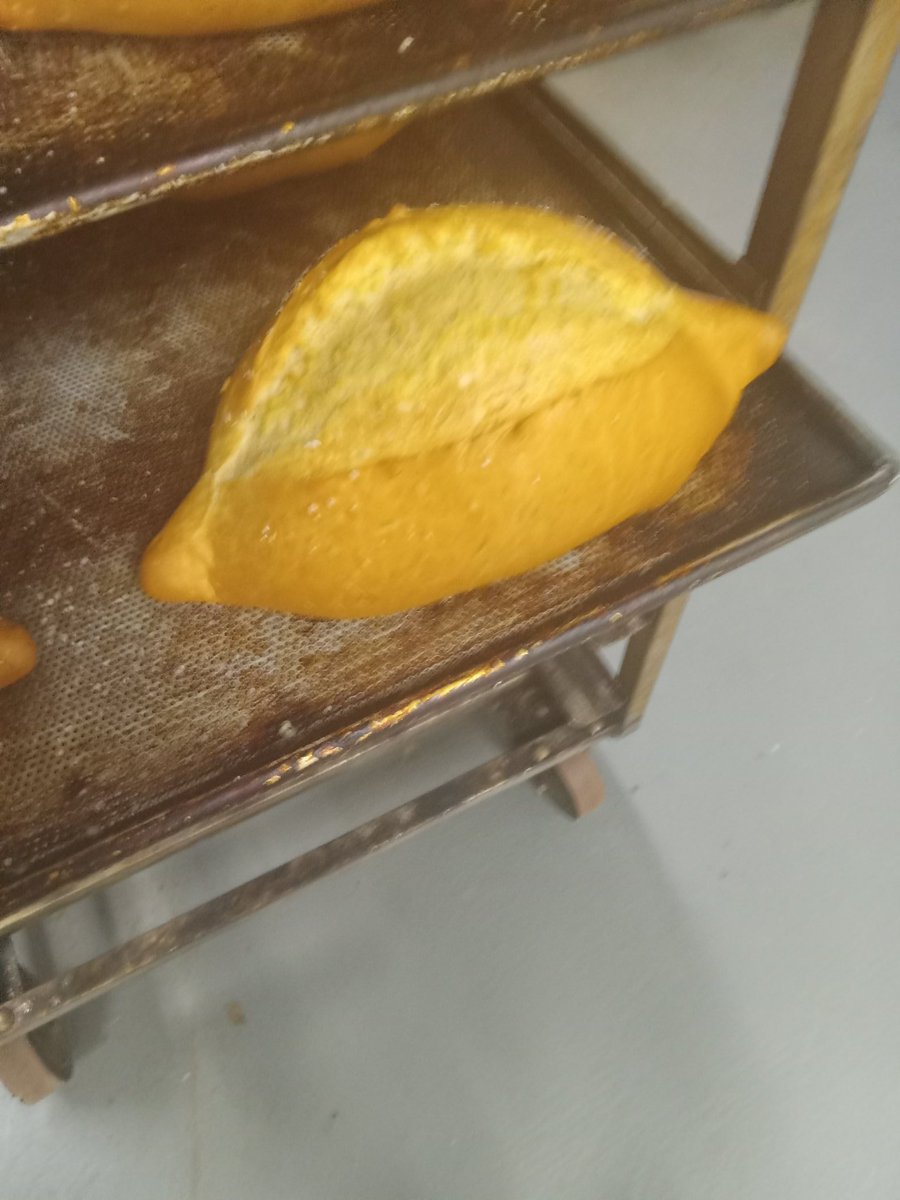 hustlerbakes's tweet image. This is my nemesis. Salted rosemary, one if the most difficult breads I've ever baked. They always either blow up or don't proof. This is the best it's looked since I first started at the bakery.