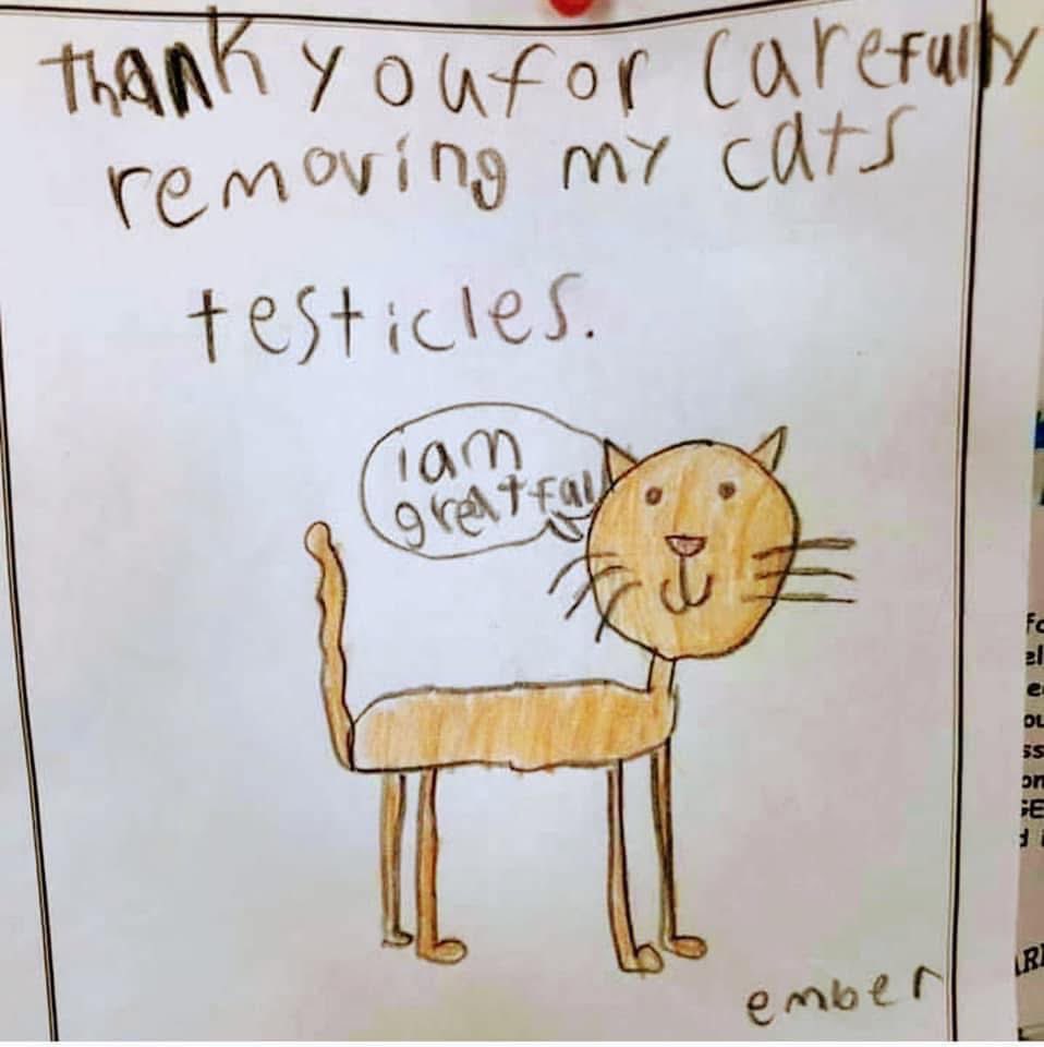 jcbowman's tweet image. Ember seems a little too grateful.