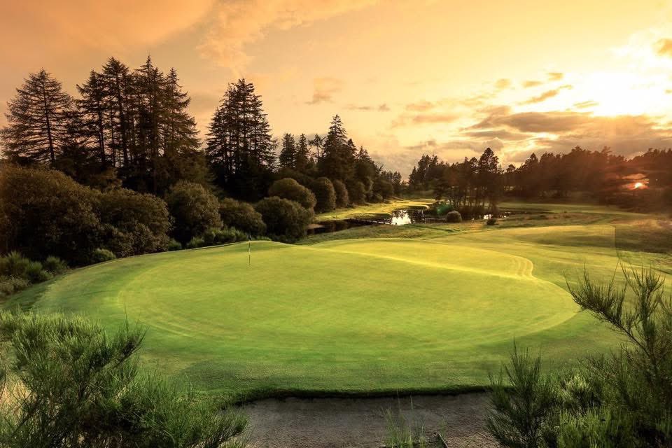 🎯 Gleneagles Golf Tour April 2026 🏌🏽‍♂️

A Golf Trip To Remember ❤️

2 nights local Hotel B+B 
3 rounds High Quality Golf 

The Kings ⛳️
The Queens ⛳️
The PGA ⛳️

✅ Larger groups welcome 
✅ Small Deposit to book 
✅ Beat annual price rises

Costs £579pp 

info@ayrshiregolf.com
